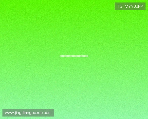 德甲联赛强队崛起与竞争激烈走势分析球迷热情不减