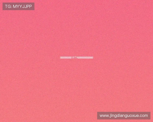 红土争锋竞技新高峰 WTA巡回赛长沙望城站盛大开幕